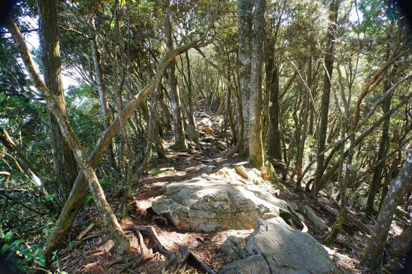 台中 和平 鳶嘴山2926893