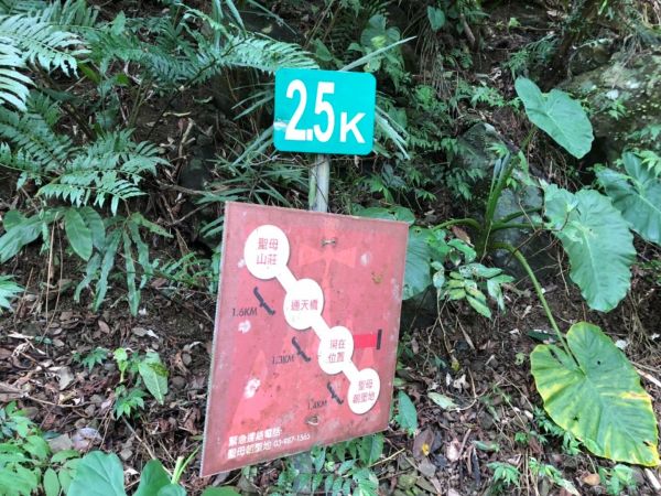 1070715聖母山莊393554