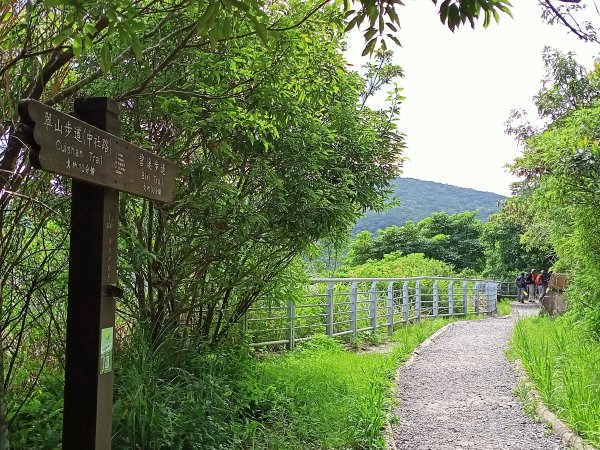 【小百岳集起來、臺北大縱走 4】翠山步道→大崙尾、頭山步道→大崙頭山北面步道→甜水鴛鴦湖→許願步道1794143