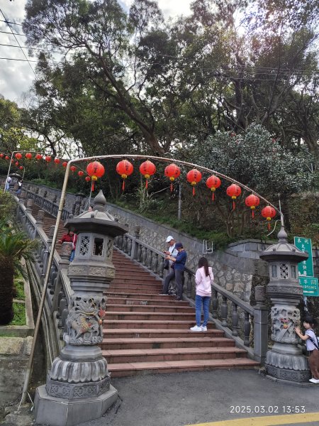 內湖碧山巖 櫻花隧道2724219