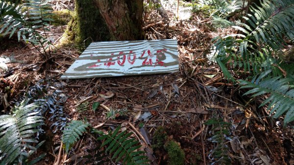 2020.03.08塔曼山872675