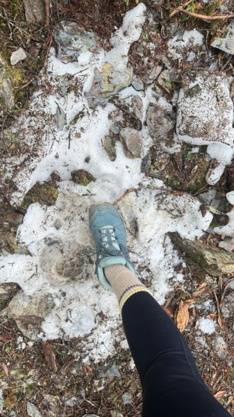東埔-排雲-玉山西峰-玉山主峰2753184