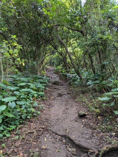 2025-06-14 臺北大縱走第一段來回2814735