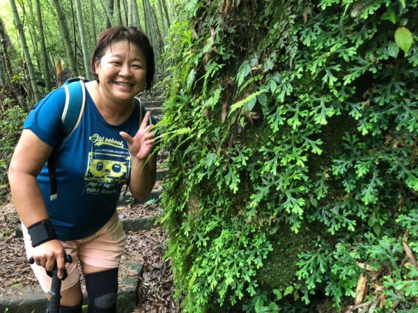 嘉南雲峰、石壁山有著讓人嚇到哭的螞蝗現身596802