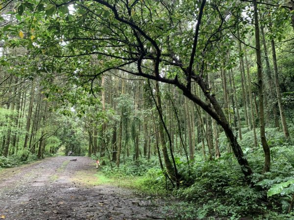 烏山越嶺古道-坪溪古道-石空古道-外澳1675608