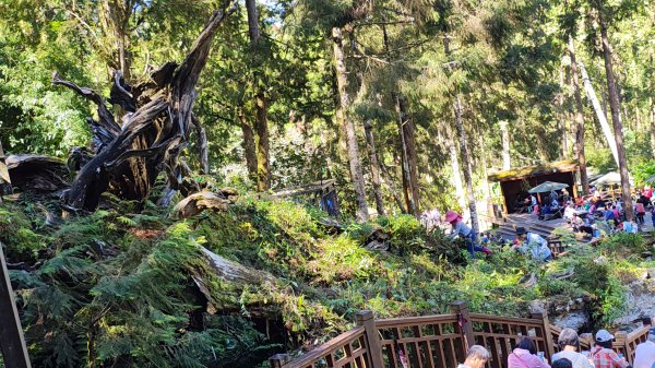 溪頭自然教育園區2938862