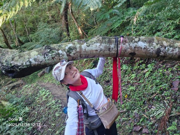 20251229石龜坑山上白石山下白石埤O走+阿姆坪2976691