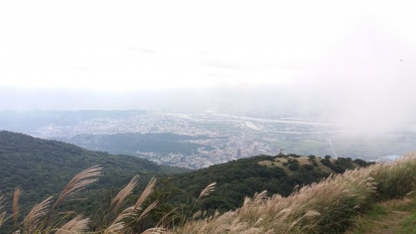 20181020 陽明山西段縱走438683