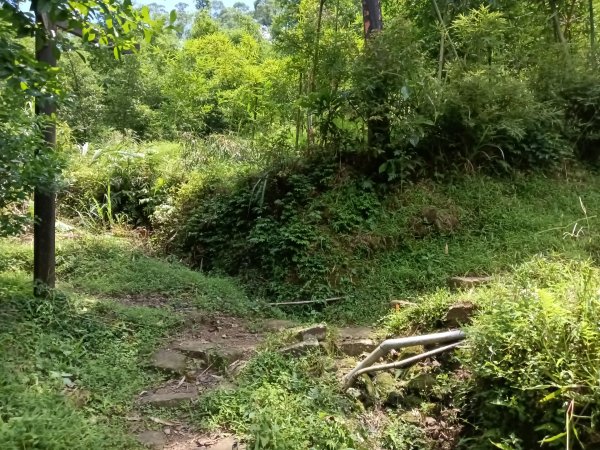 汐止區姜子寮田園步道+旗尾崙+姜子寮絕壁、瀑布O型2822245