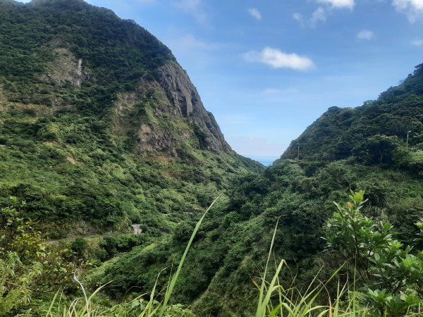 金瓜石，與奈良美智的詩意邂逅2883176