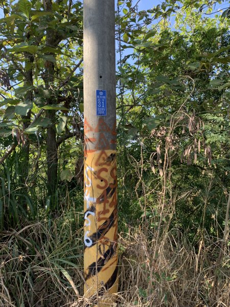 20251115台南大尖山2938080