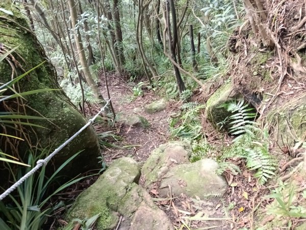 基隆市/萬里區界寮縱走之三界山+三界山西峰+開眼尖山+七分寮山+瑪七產道山泉水接水亭2979584