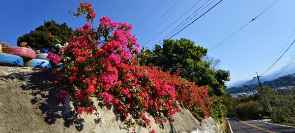 2026/01/04_龍峎頂+肚兜角步道2978155