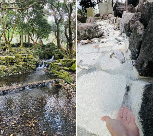 陽明山橫嶺古道|搭公車就能到京都嵐山竹林美景||澄園秘境賞梅前山公園悠閒野餐1603379