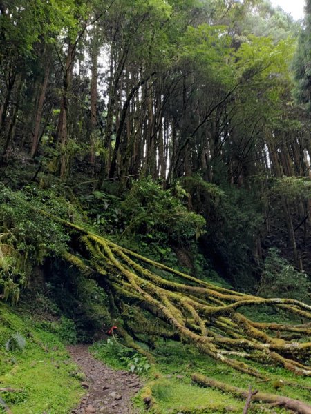 💦石山引水道⛰️石山涼涼走😆😆😆202207161765811