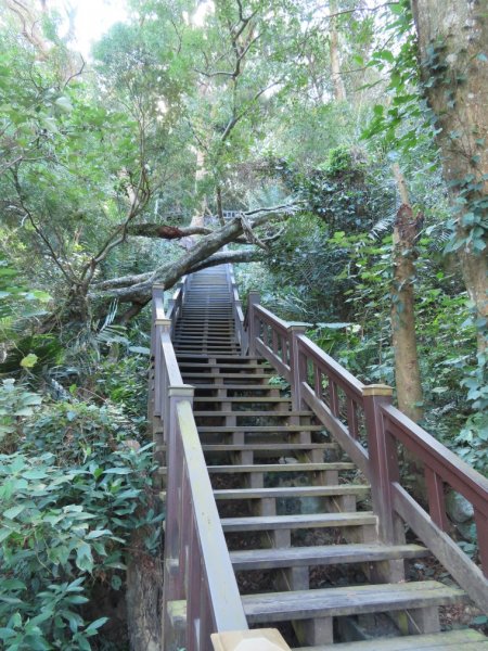 泰安登山步道‧隘勇古道‧巡圳道O形輕鬆走2007517