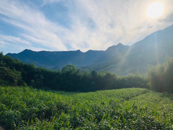 1090725高台山+美人湯1045467