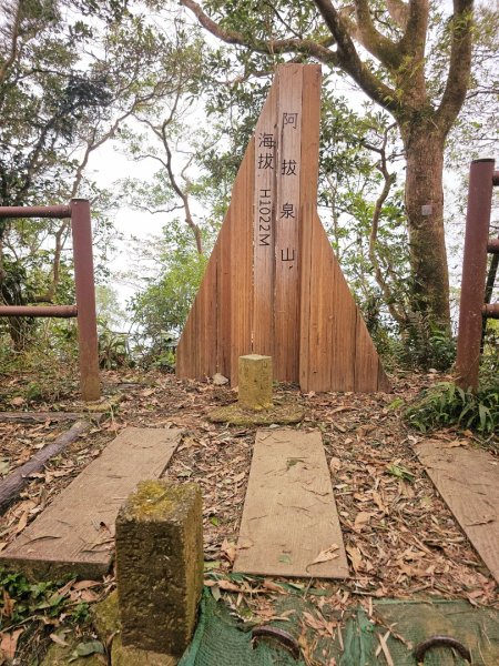 阿拔泉山稜線步道 - 2024嘉遊好步道．來嘉走走2644077