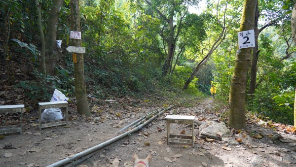 小百岳集起來_笠頂山登山步道2368364