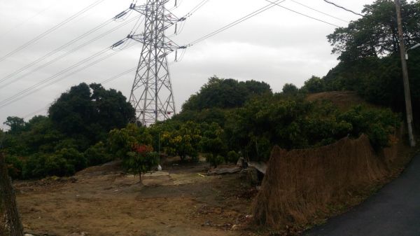 霧峰阿罩霧山〈H249M〉（小百岳）291797