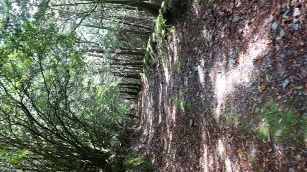 雙龍林道上巒安堂西巒大山1778671