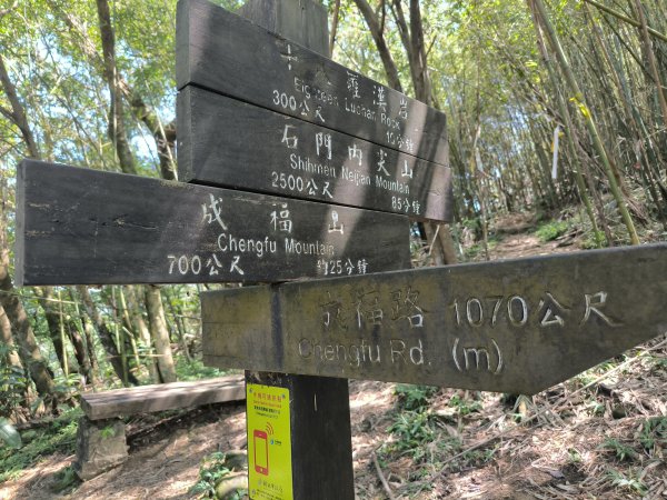 20250913微笑山線：【天上山系】望月亭桐花段2883401