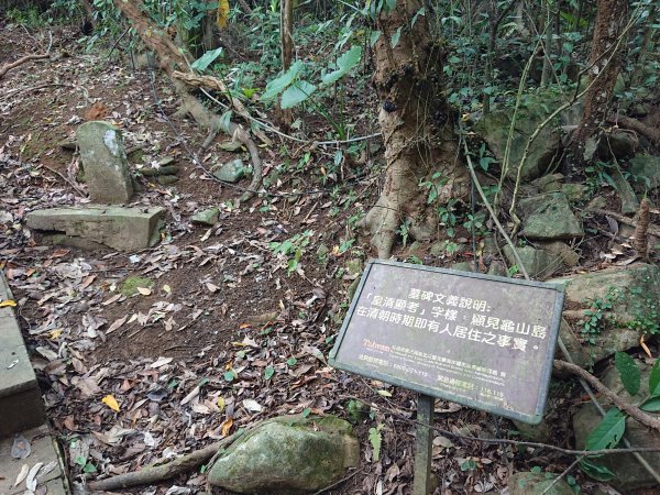 龜山島登頂-環湖-繞島1081202