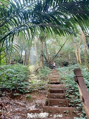 【新竹竹東】五指山登山步道3004824