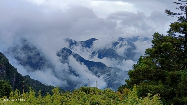 大霸群峰（大霸尖山、小霸尖山、加利山、伊澤山）1490687