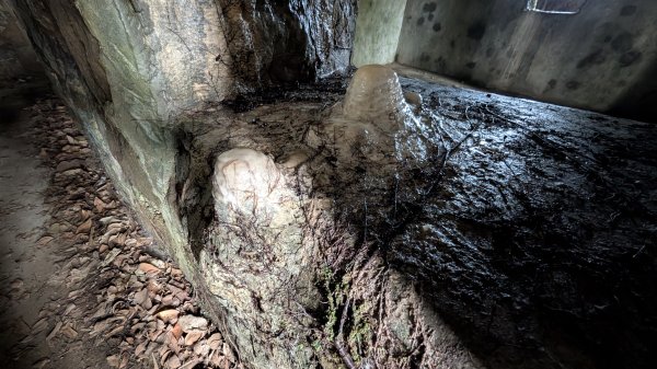 114.12.20劉銘傳隧道-獅球嶺北峰-獅球嶺東砲台山-獅球嶺池-獅球嶺砲台山之旅2966750