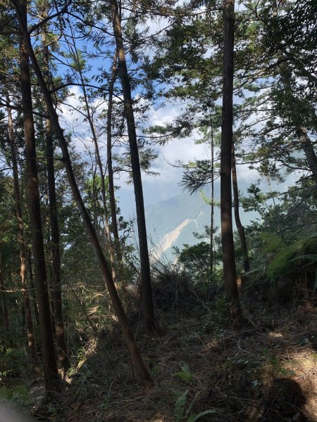 20251018台中八仙山2921448