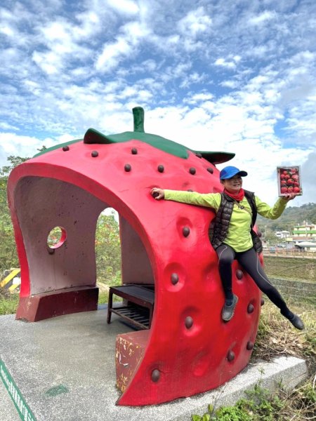 小百岳馬那邦山(H1407m)加碼採草莓2694717