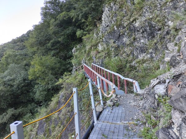 [玉山尋寶任務-07/12] 2025_0824 八通關雲龍瀑布步道2870483