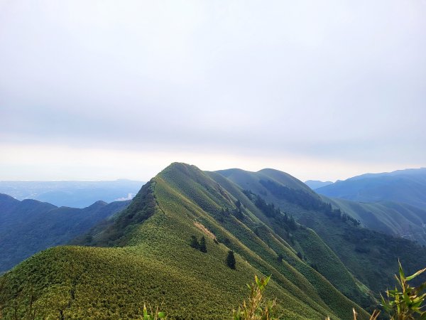 【台北抺茶山】小觀音山走春2010707