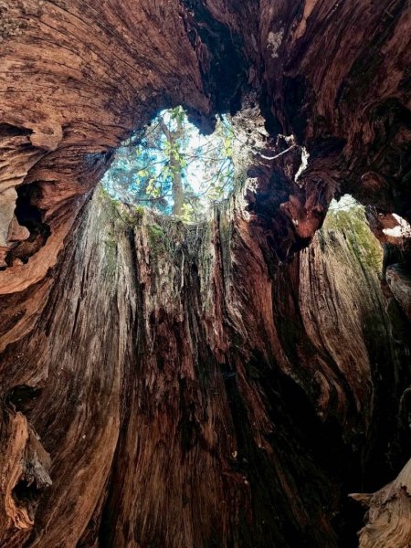 1141122特富野古道2945774