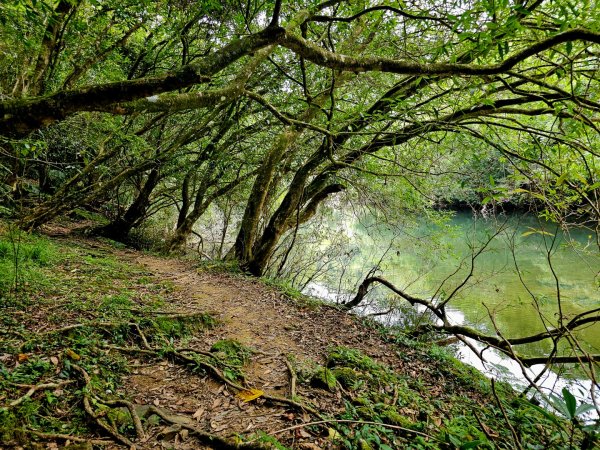 淡蘭中路第四段：威惠廟至灣潭古道登山口(崩山坑線)2882715