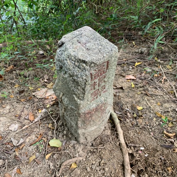 20250906台南合山-觀音山-大坑尾山-臭腳崎山2881437