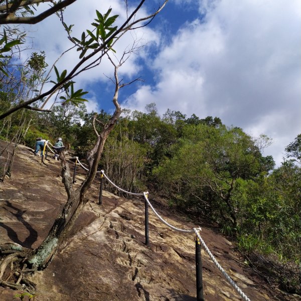 金面山親山步道768285