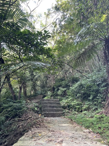 【二格山系】皇帝殿稜線2914121