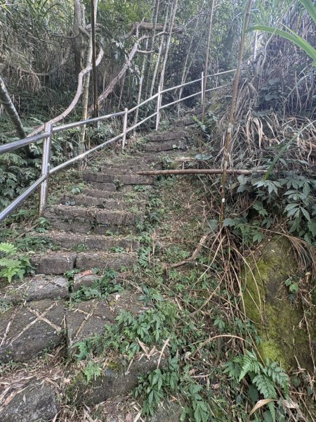 20251122大湖尖山步道(啟登直上第三涼亭)2944527