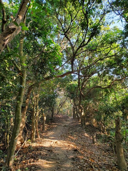 旗靈縱走-旗尾山第一登山口起登到靈山1224051