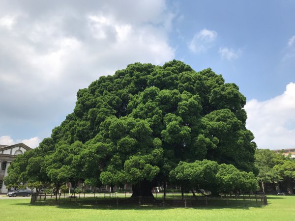 2-1 國立成功大學校園巡禮《臺南親子、人文、藝術、建築、美食之旅》1828098