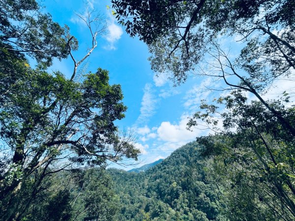 20250227 鳩之澤自然步道2736073