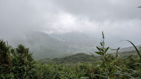 112.06.04走遍陽明山尋寶任務之大屯山2173568