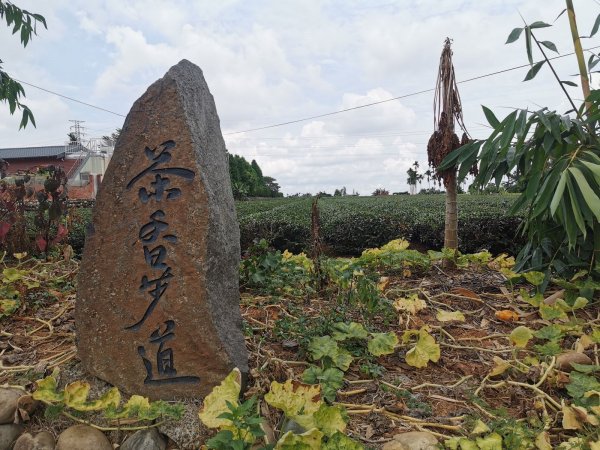 茶香步道-茶香四溢的茶園觀光步道1049332