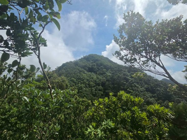 20260620烏來三山-小巫山-小小巫山3078678