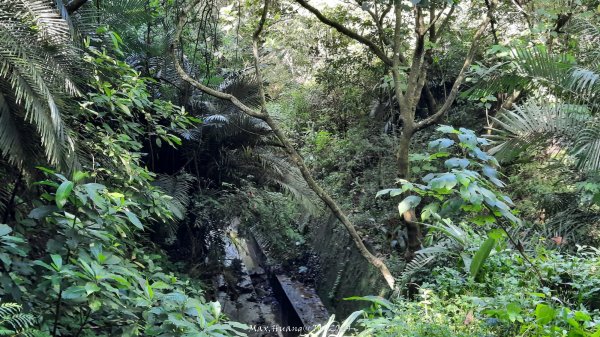 《台中》秋虎飆汗｜潭子新田登山步道上聚興山O繞202409152594065