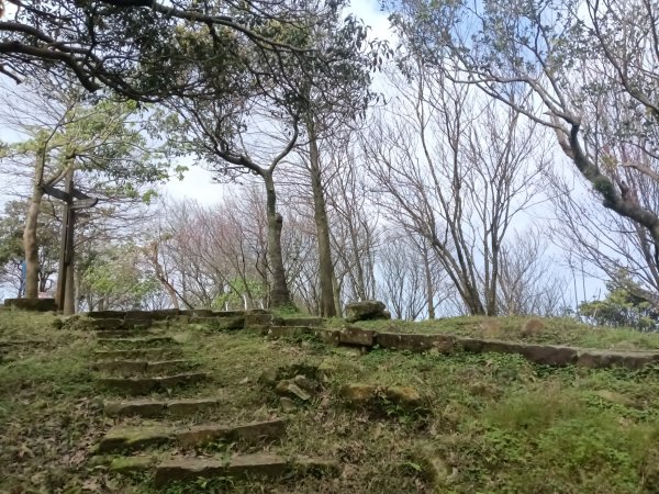 大尖山櫻花-龍船洞-秀峰瀑布2733732