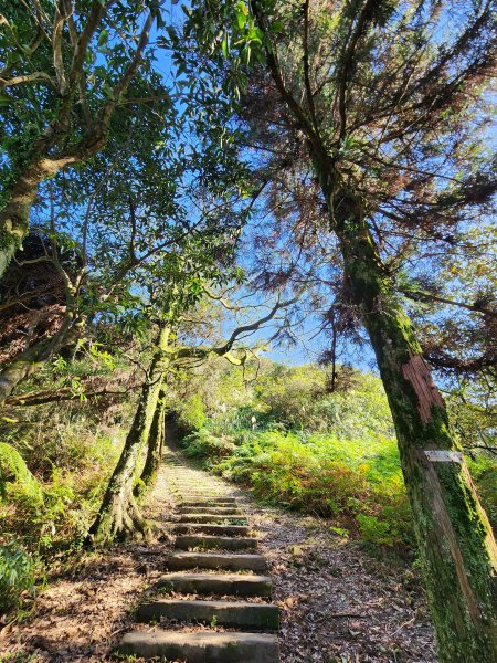 小百岳集起來-姜子寮山2181025