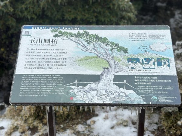 20250319～20嘉明湖國家步道🥶🥶🥶殘念😭2739768